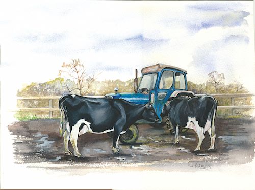 11 Ford and Fresians