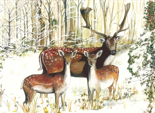 121 Fallow Deer