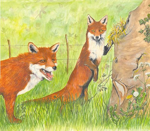 125 Foxes