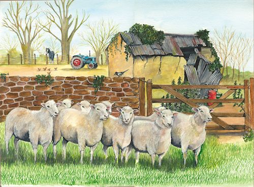 128 Sheep 2