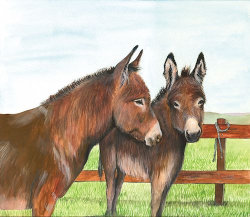 139 Two Donkeys