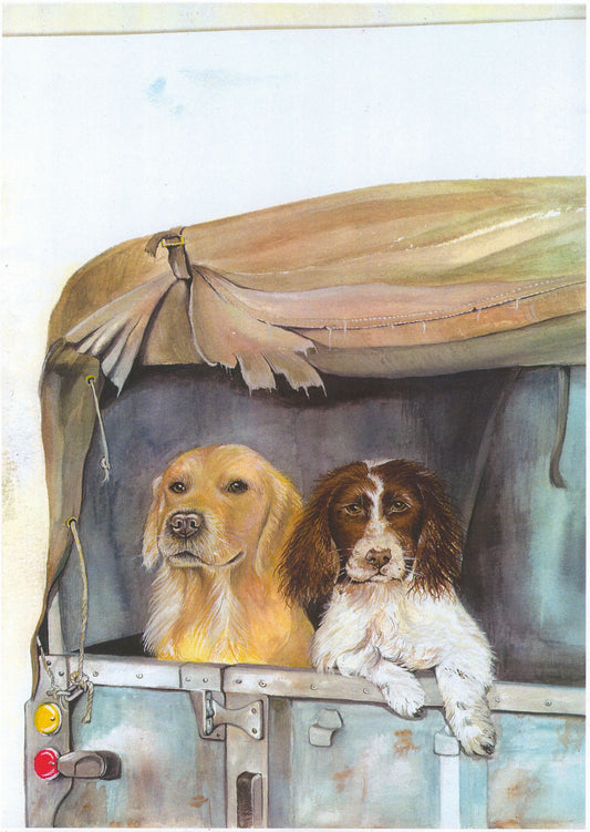 154 Labrador & Spaniel in Land Rover