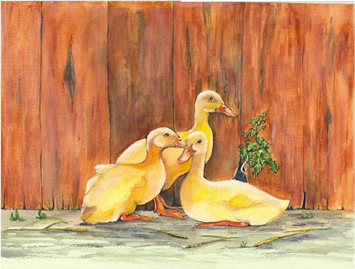 167 Ducklings