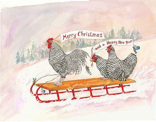 173 Chicken Sledging