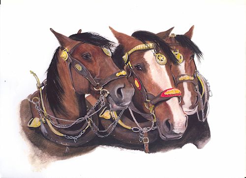 183 3 Shire Horses