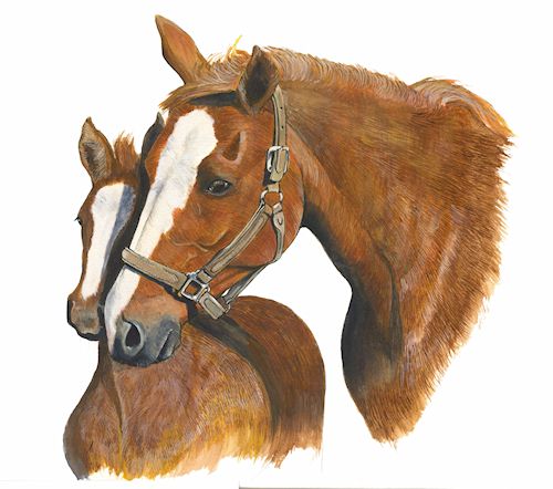 199  A Mare & Foal