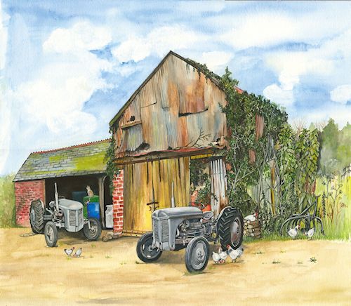 2  Grey Ferguson TE20s