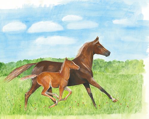 299 Mare and Foal Galloping