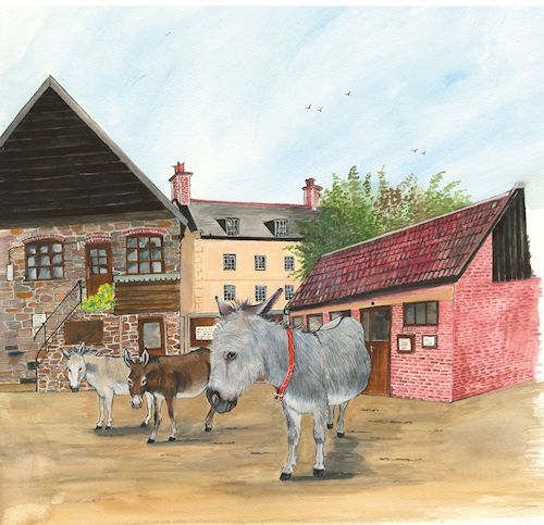 232 Donkey Sanctuary