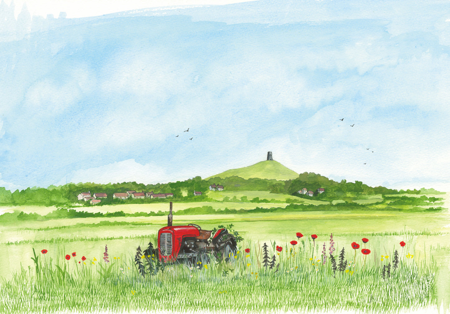 236 Red Massey Ferguson 35 & Glastonbury Tor
