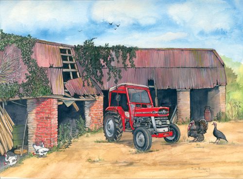 24 Massey Ferguson 135