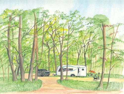 242 Evoque & Caravan