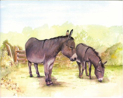 252 Donkey and Foal in Meadow