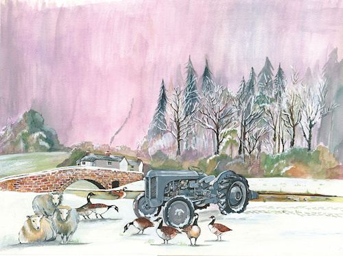 258 Grey Fergie in Snow with Geese