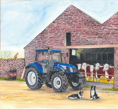 27 New Holland & Hereford Cattle
