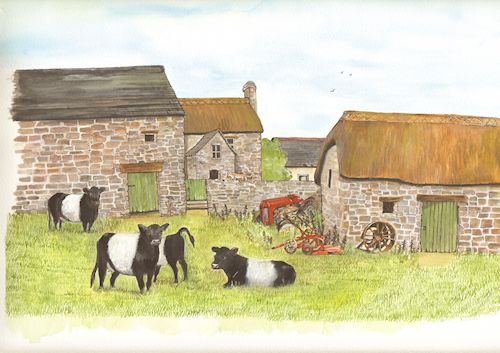 302 Dartmoor Farm with Belted Galloways 2