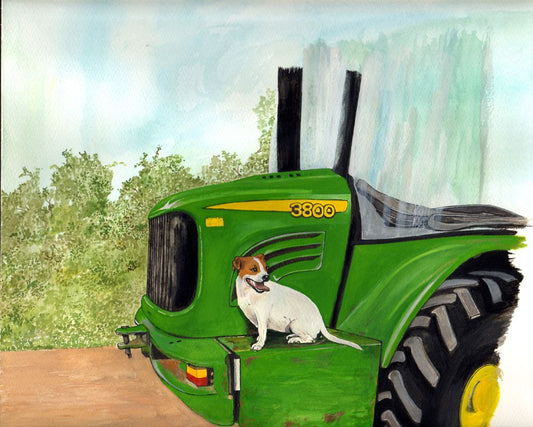 304 Jack Russell on Telehandler