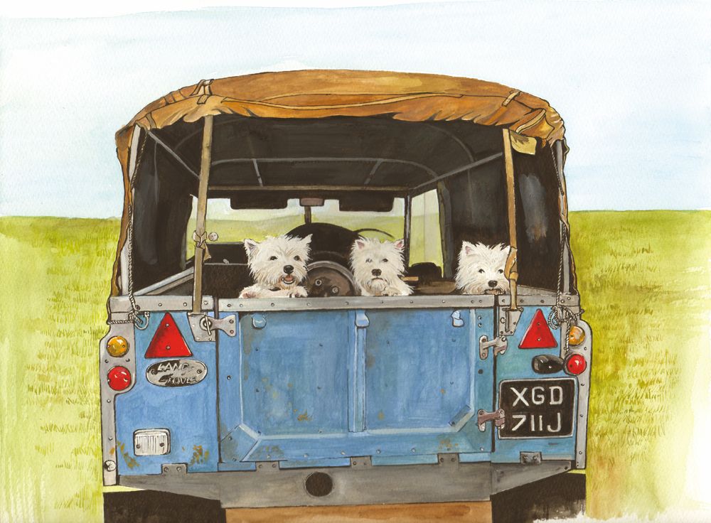 305 Westies in Land-Rover