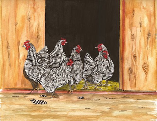 308 Hen Party