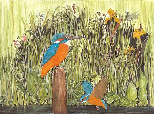 311  Kingfishers
