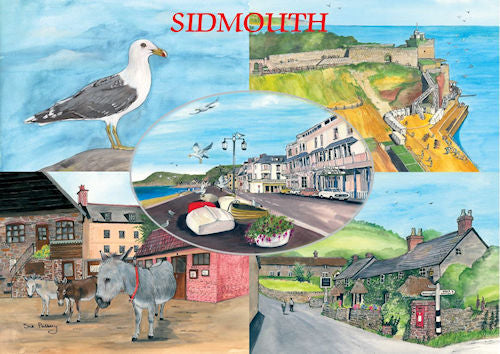 323  Sidmouth Multi