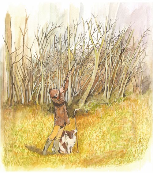 337 Morning Shooting With Spaniels