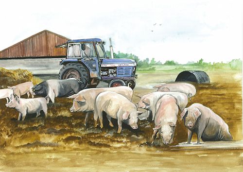 34 Leyland and Pigs