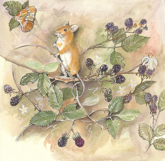 340 Mouse and Brambles