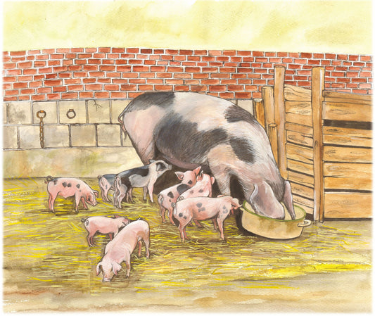 342 Gloucester Old Spot Sow and Piglets