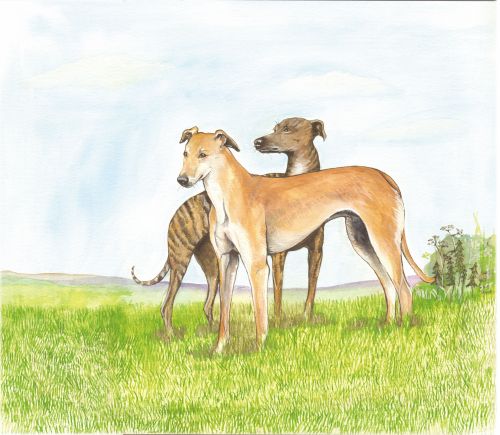 346 Lurchers