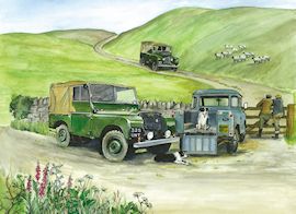 35 Land Rovers on Hillside