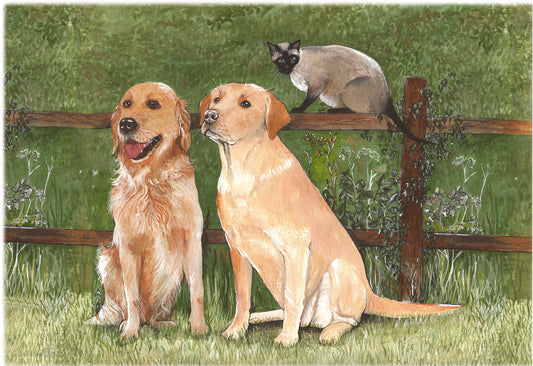 355 Labradors and Siamese Cat