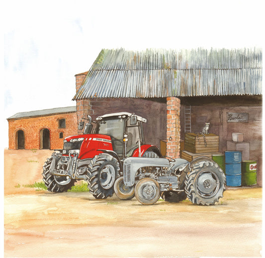 358 New and Old Fergies