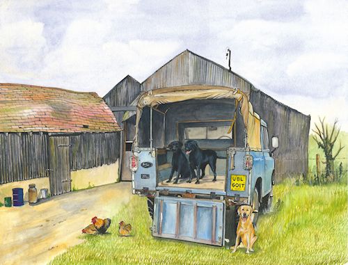 36 Land Rover and Labradors