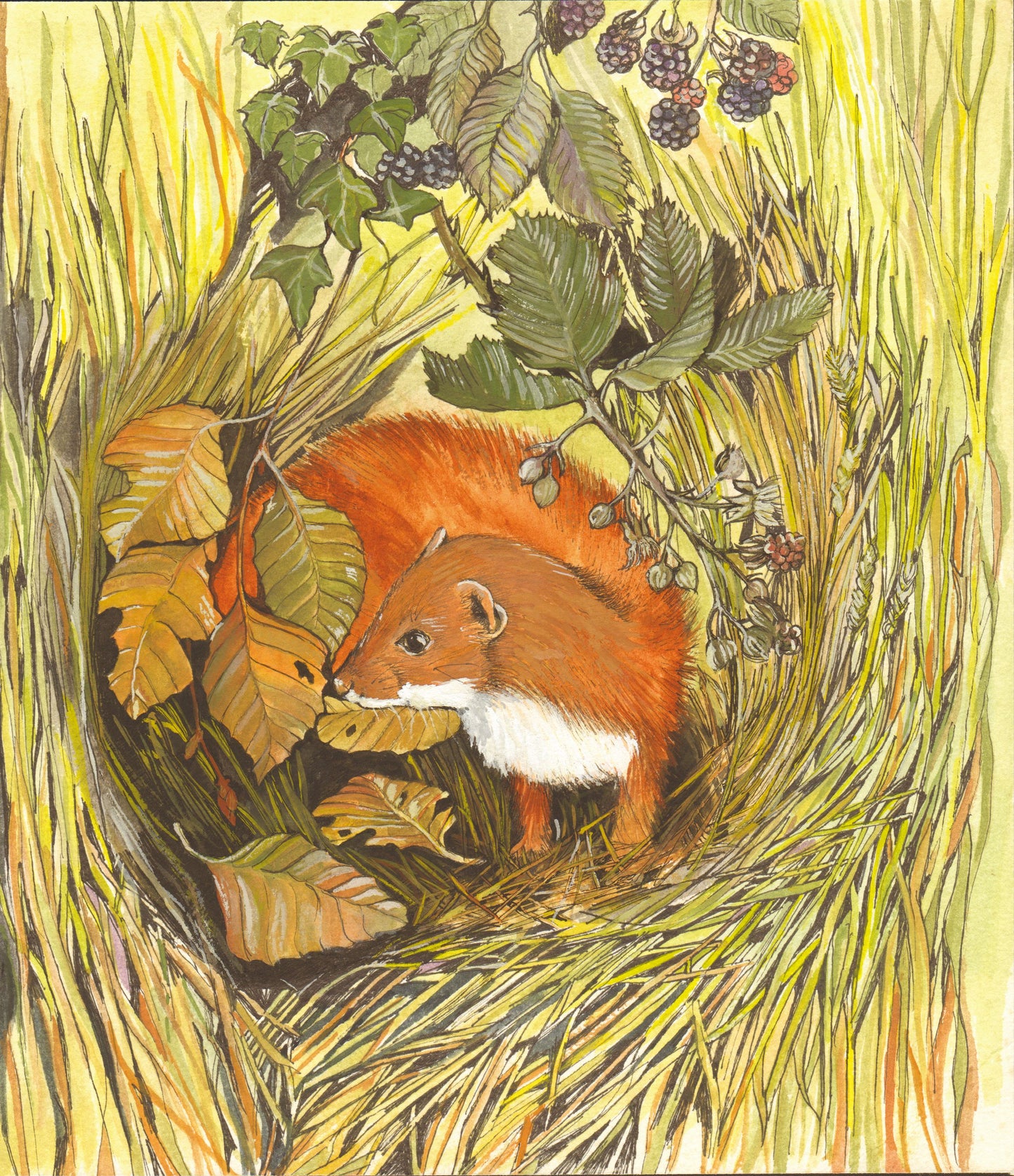 366 Stoat
