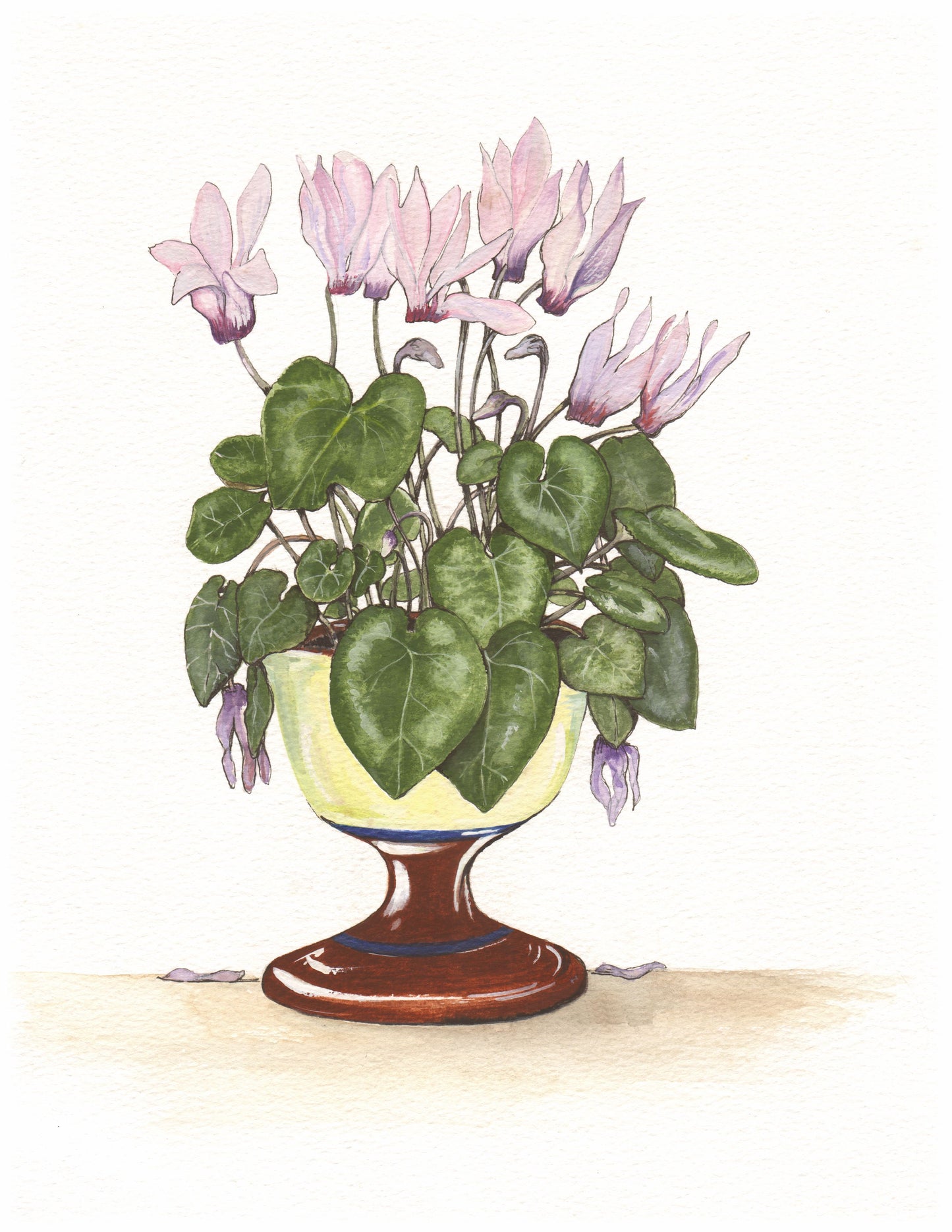 367 Cyclamen