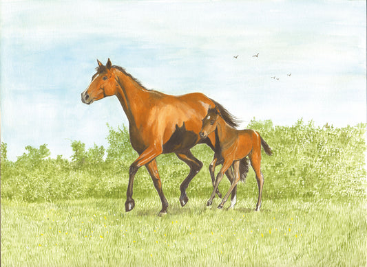 382 Mare and Foal