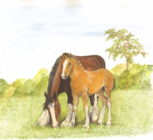391 Shire Horse and Foal