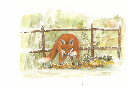 396 New Winter Fox