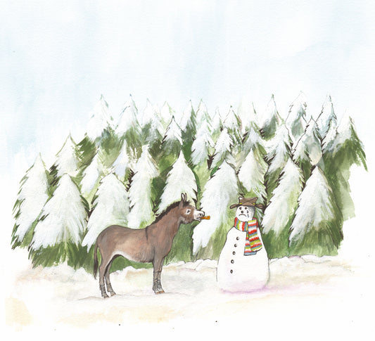 398 Donkey and Snowman Nose