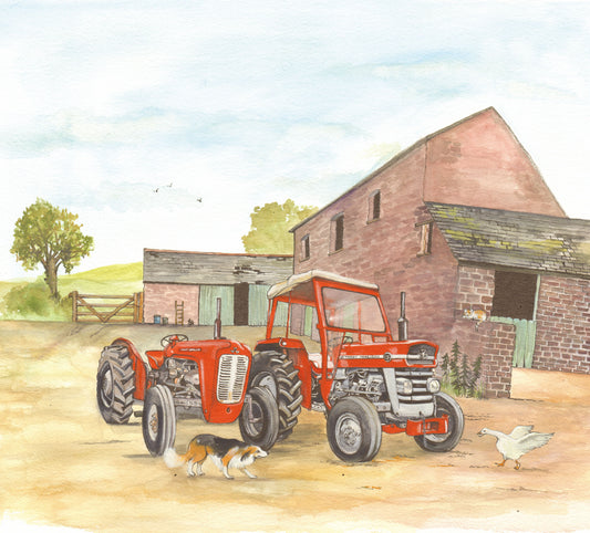 404 Classic and Vintage Massey Fergusons in Yard