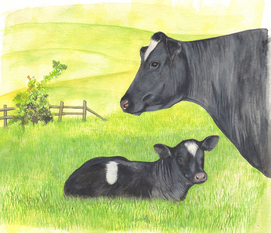 405 Dairy Cow and Calf