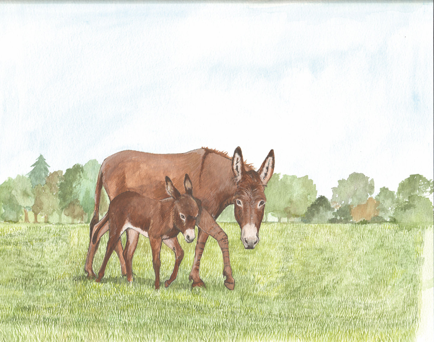 416 Donkey and Foal in Meadow