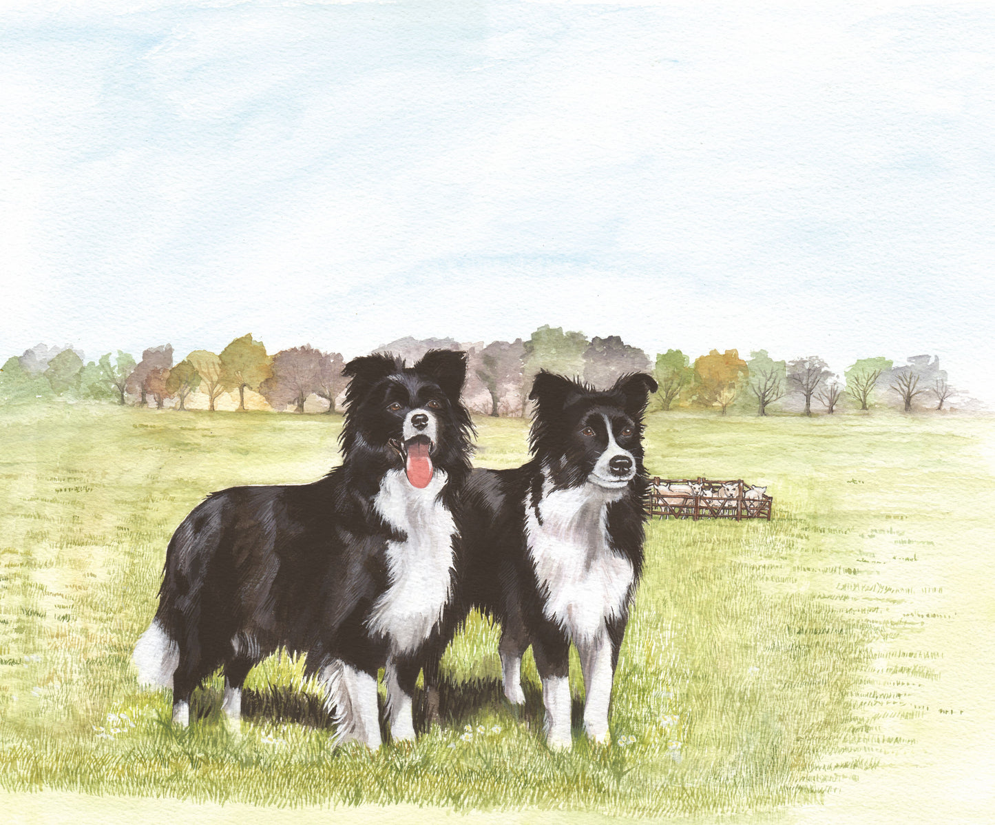 418 Two Collies