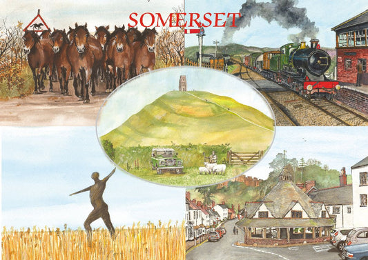 445 SOMERSET MULTI NO.4