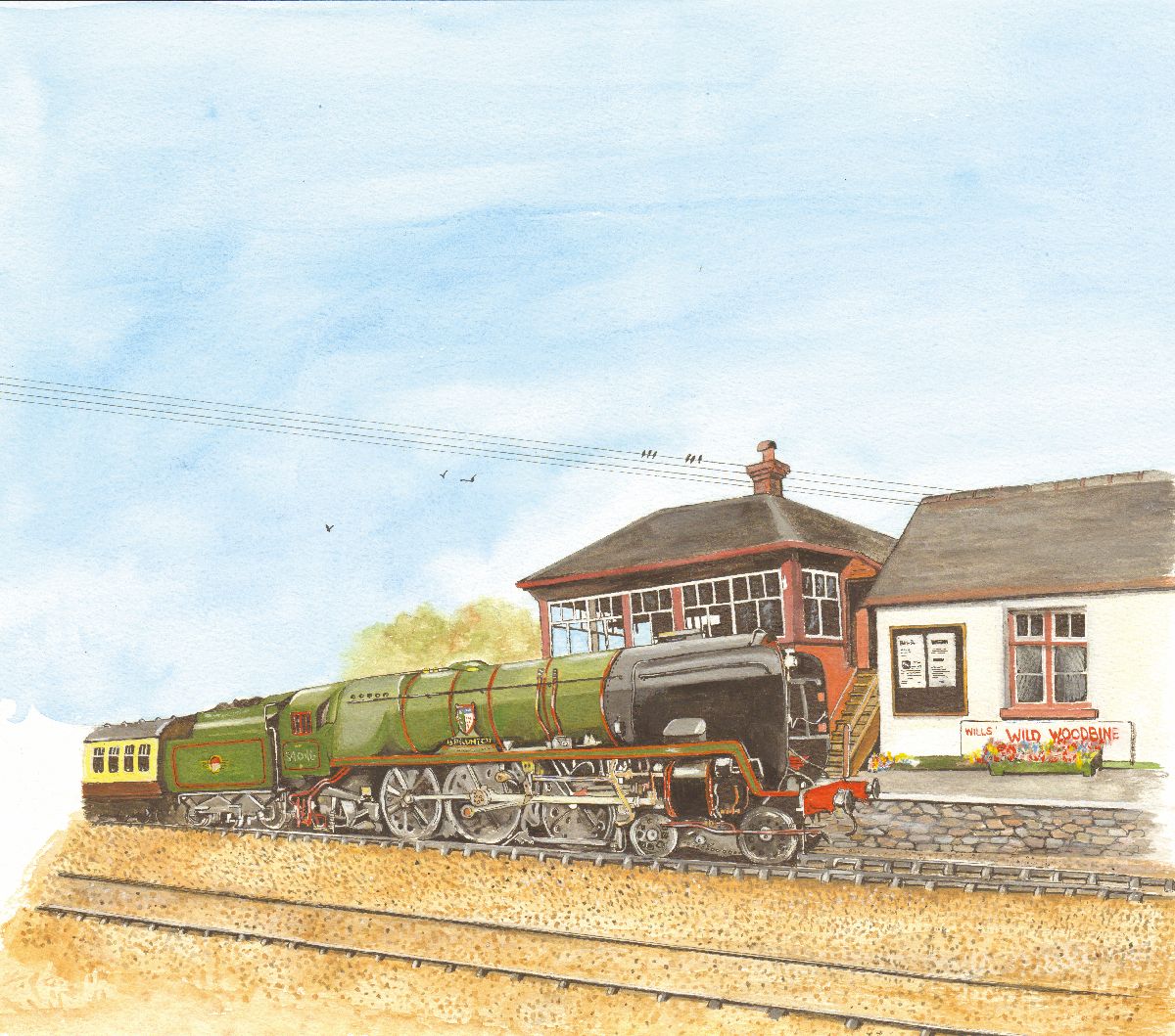452 BRAUNTON TRAIN