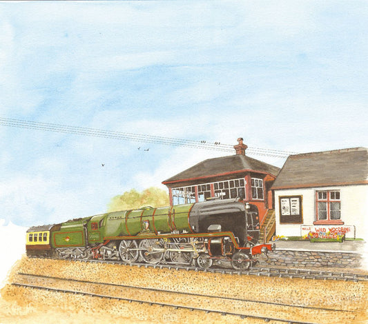 452 BRAUNTON TRAIN