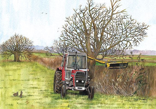 495 Hedge Cutting Massey Ferguson
