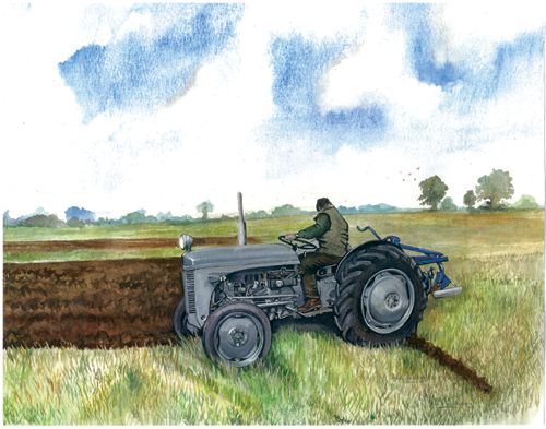 5 Ferguson Ploughing