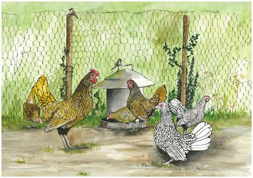 50 Chickens Dining